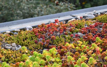 the cost of Bruisyard green roof installation