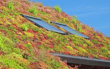 Bruisyard living roof systems